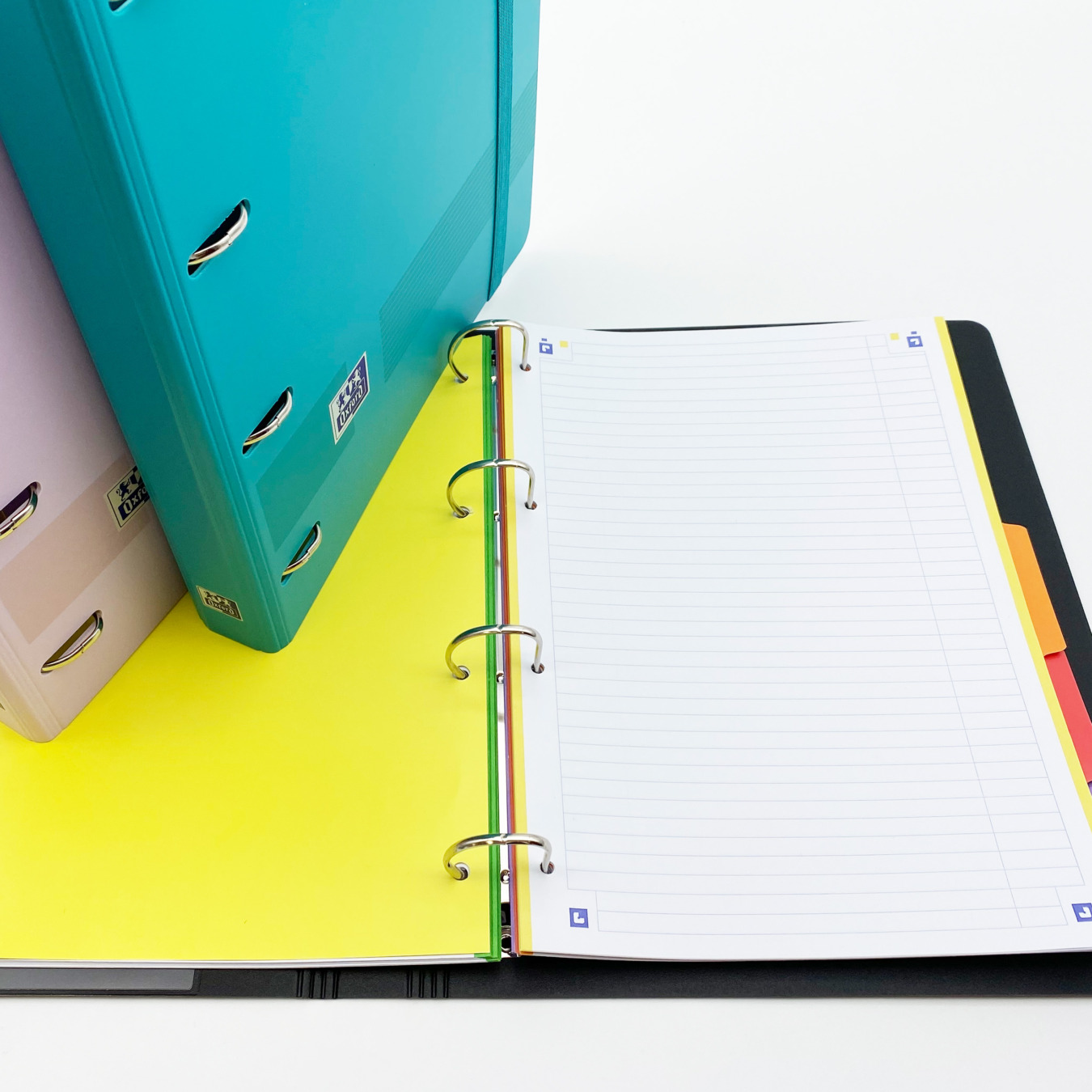 Classeur 3 Anneaux Panda Coloré, Avec Poches, 3.8cm - Pour école, Bureau, Organisation Documents