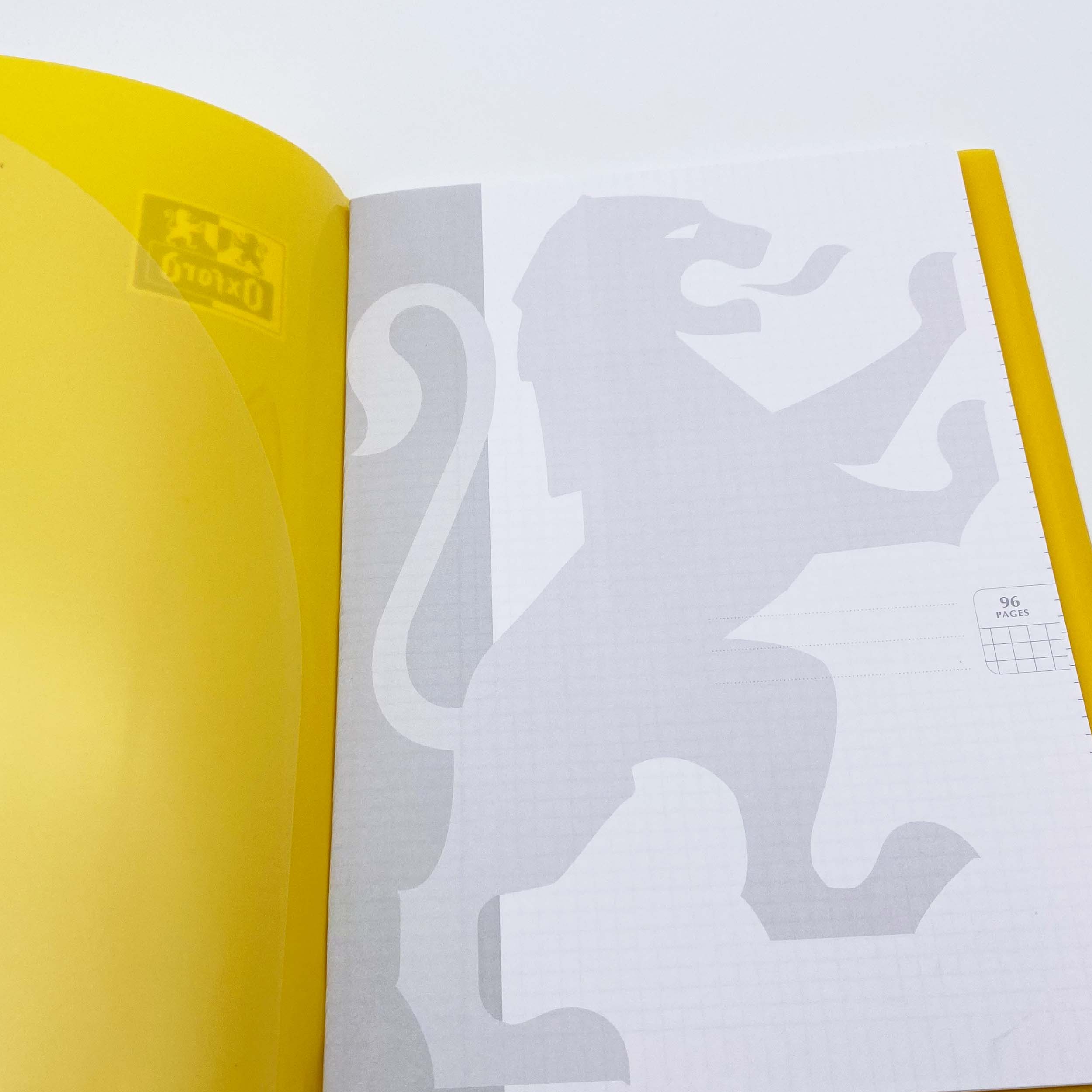 Cahier-Trieur Spirale ORGANISERBOOK OXFORD International 160pages Carreaux 5x5mm 245x310mm 8429281