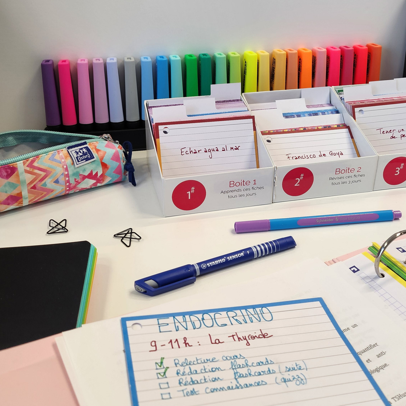 apprendre plus vite et mieux avec les flashcards leitner