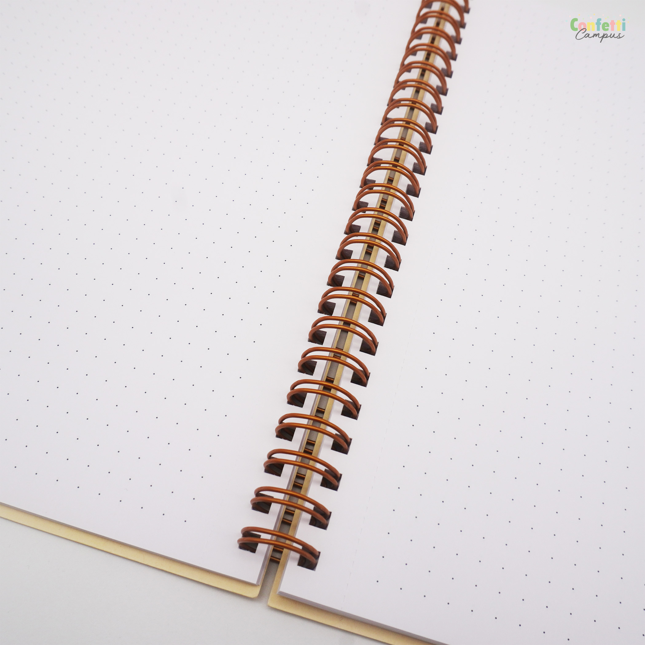 Bullet Journal Paper&You A5 - Quaderno A Punti Con Rilegatura A Spirale, 160 Pagine - Foto 10